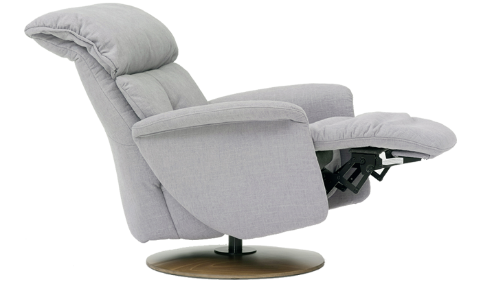 Swan Leather Medium Motor Easy-Swing Chair 46